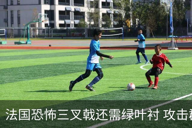 法国恐怖三叉戟还需绿叶衬 攻击群稳定输出德尚冲冠底气足