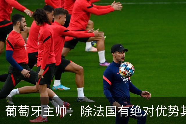 葡萄牙主帅：除法国有绝对优势其他都在毫厘之间 我们不是大热门