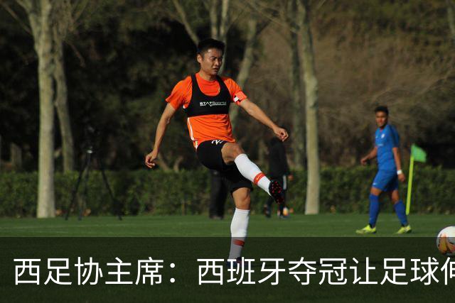 西足协主席：西班牙夺冠让足球伸张了正义 德帅是西班牙历史最佳