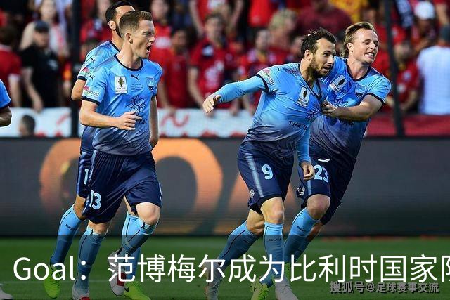 Goal：范博梅尔成为比利时国家队新帅头号人选